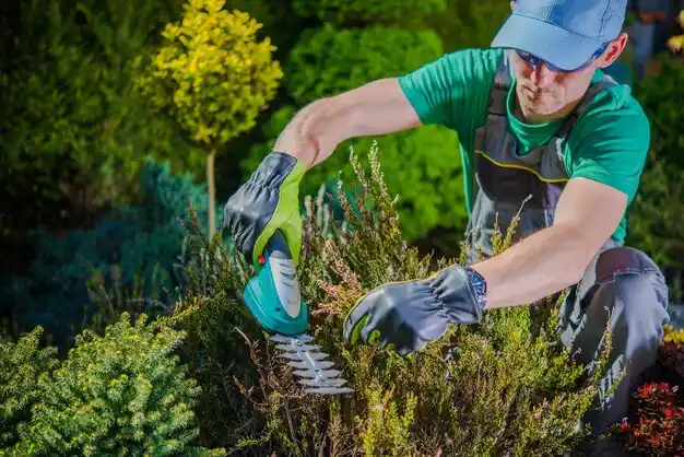 landscaping services Merrick